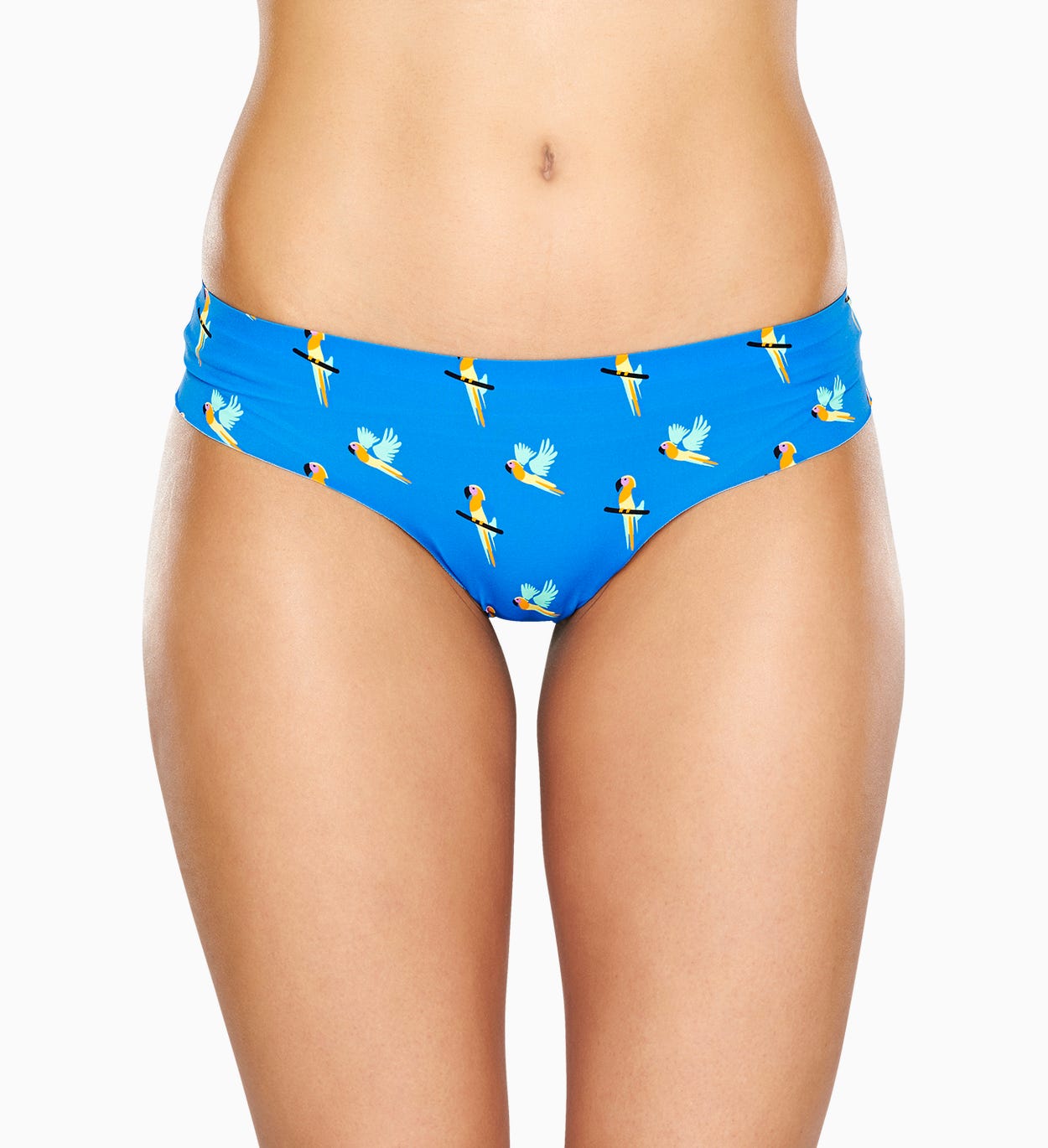 Blaue Brief: Parrot - Damenunterwäsche | Happy Socks