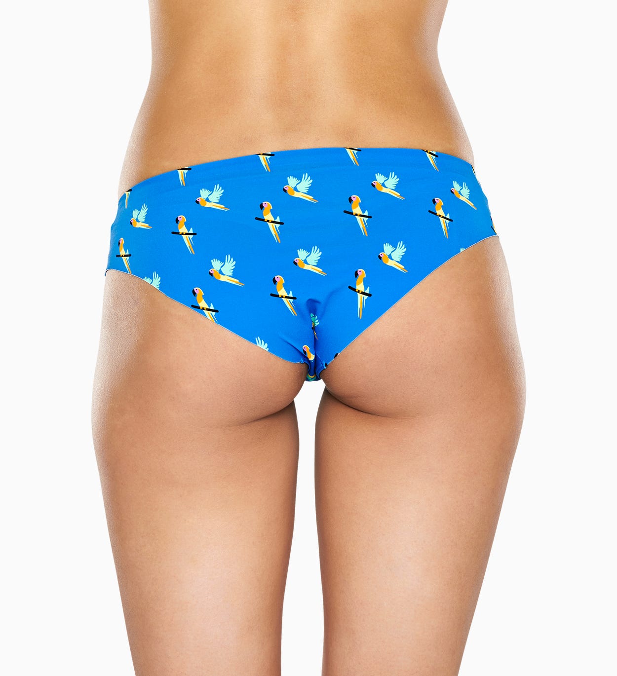 Blaue Brief: Parrot - Damenunterwäsche | Happy Socks