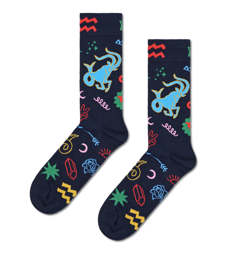 Capricorn Zodiac Sock | Astrology Gift for Him