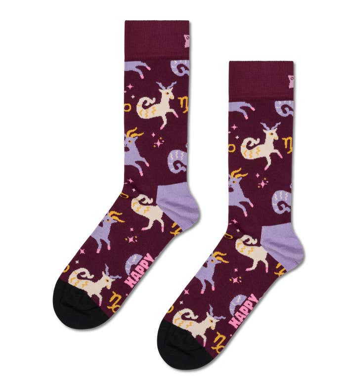Capricorn Sock